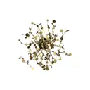 Настенный светильник Crystal Lux Garden Cu_1860_403 цвет золото