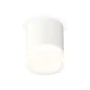 Светильник точечный накладной Ambrella light Xs7401043 2 м² цвет белый