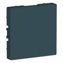 Заглушка Systeme Electric AtlasDesign цвет изумруд 2 шт.