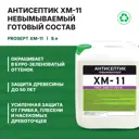 Антисептик невымываемый Prosept 065-5 ХМ-11 5 л