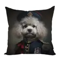 Декоративная подушка Zaberite 3432, 40x40 см