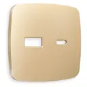 Накладка для розетки 2USB тип A+C Ambrella volt Omega OP6110 цвет шампань