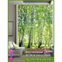 Фотообои флизелиновые Homepick Fotooboi2m 200x270 см Forest/4158/