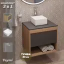 Комплект Teymi 3 в 1: Тумба Ritta 55 дуб эврика/графит матовый + раковина Helmi Mini 24 накладная + смеситель Ellie высокий хром F03680