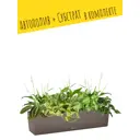 Кашпо настольное с автополивом Lechuza Balconera Color 80 15684 12 л