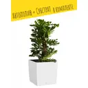 Кашпо напольное с автополивом Lechuza Cube Cottage 30 15376 12 л