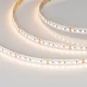 Светодиодная лента Arlight 030009 2 SMD 2835 120 диод/9.60 Вт/м 24 В IP20 5 м теплый белый свет