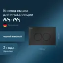 Панель смыва для унитаза Am.pm I070138 L матовый черный
