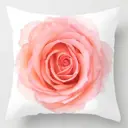 Декоративная подушка Zaberite 01026, 40x40 см