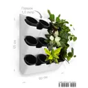 Фитомодуль Boxsand 12 Аэро 60х65 см вместимость 12 растений 1 л белый / черный