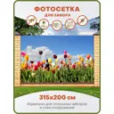 Фотосетка Art ФС265 Разноцветные тюльпаны 315x200см