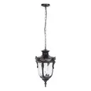 Светильник уличный подвесной Loft it Lf_100002p 60 Вт IP55 цвет коричневый