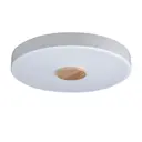 Светильник настенно-потолочный светодиодный Loft it Axel 10003-24 White 5.2 м² нейтральный белый свет цвет белый