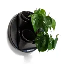 Фитомодуль Boxsand 4 Ring пластик черный