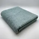 Полотенце TM TEXTILE ХЛ121 100x180 см хлопок