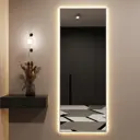 Декоративное зеркало Alumirror 16170сер3000к с подсветкой 70x161см