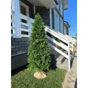 Искусственное дерево Туя Crystal Trees ТУ-180 180 см