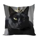 Подушка декоративная Zaberite Коты-Короли Персик 3476, 40x40 см