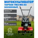 Культиватор бензиновый Тарпан МК Тарпан-03 173 5 л.с.