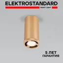 Светильник точечный светодиодный накладной Elektrostandard a062523 Lead 1 м² нейтральный белый свет цвет золото