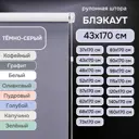 Рулонная штора Эскар блэкаут LUX 43x170 см цвет темно-серый