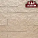Камень искусственный РокПрестиж Савона 03 1.1м²
