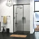 Душевая дверь WasserKRAFT Elbe 74P05 120 см