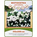 Фотосетка Art ФС262 Белые плетистые розы 315x200см