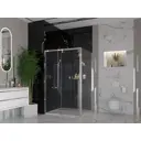 Душевая перегородка Ambassador 110IX 110x200см хромированный профиль