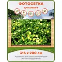 Фотосетка Art ФС280 Лапчатка 2 315x200см