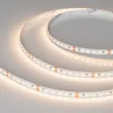Светодиодная лента Arlight 033522 SMD 3528 120 диод/8 Вт/м 24 В IP20 5 м теплый белый свет