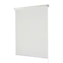 Рулонная штора Legrand Леона 80x175 см цвет белый
