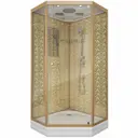 Душевая кабина Niagara Luxe NG-7702DG 100x100x210см низкий поддон