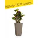 Кашпо напольное с автополивом LECHUZA CUBICO Cottage 30 15158 14 л