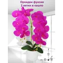 Искусственное растение Орхидея Фитопарк Кашпо2ОрхидеиФуксия39 55 см