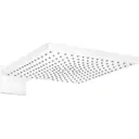 Душевая лейка Hansgrohe 26238700