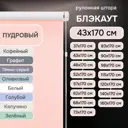 Рулонная штора Эскар блэкаут LUX 43x170 см цвет пудровый