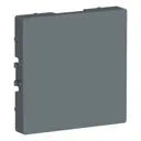 Заглушка Systeme Electric AtlasDesign цвет грифель 2 шт.