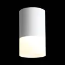 Светильник точечный накладной светодиодный St luce St100.502.05 5 Вт теплый белый (желтый) свет цвет белый