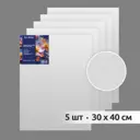 Набор холстов на картоне Magic 4 Hobby 30x40 см, хлопок 100%, 5шт TBY.30x40.5