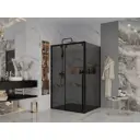 Душевая перегородка Ambassador 110IBB 110x200см черный профиль