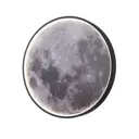 Светильник настенно-потолочный светодиодный Escada Planet ESC_10226_SG_LED_Mars 9.71 м² регулируемый белый свет цвет серый/серебристый