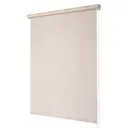 Рулонная штора Legrand Ривера 57x175 см цвет жемчуг