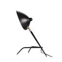 Настольная лампа ST Luce Spruzzo SL305.404.01 цвет черный