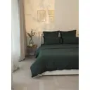 Пододеяльник Denastia Basic C060236 210x175 см сатин цвет зеленый