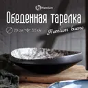 Обеденная тарелка 20 см 371MH-41-31 Homium Керамика цвет коричневый