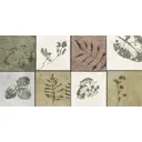 Настенная плитка Global tile Delia_gt GT234VG 30x60см цвет мультиколор