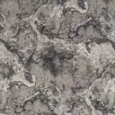 Ковер полиамид Белка сегура 160521 300x300 см