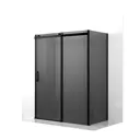 Душевая перегородка Ambassador 19022205HBB-100HBB 100x200см черный профиль