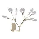 Настенный светильник Crystal Lux Evita Cu_1692_409 цвет золото/прозрачный